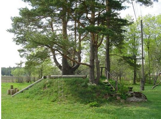 Kiige Holiday Park 호텔 Linnamäe 외부 사진
